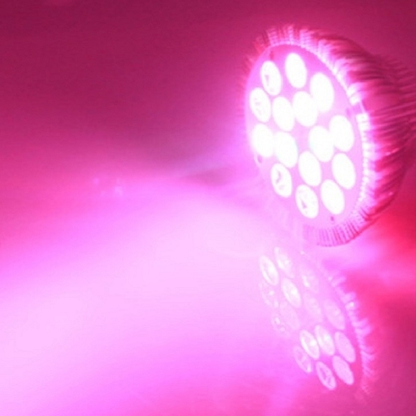 LED Pflanzenlampe 7 Band Spektrum Licht 3200K