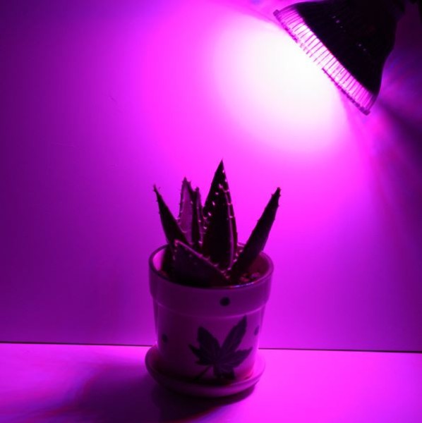 24W LED Grow SMD Plantlight
