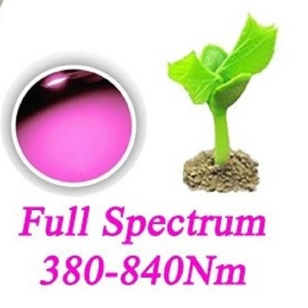 2W Full Spectrum Leds 380-840nm